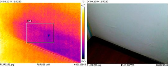 SKENĒŠANA AR TERMOKAMERU