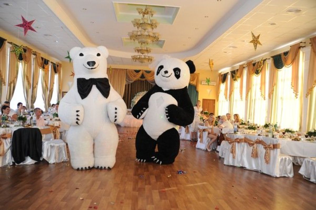 Белый Медведь в Кракове. Заказать большого мишку на праздник.