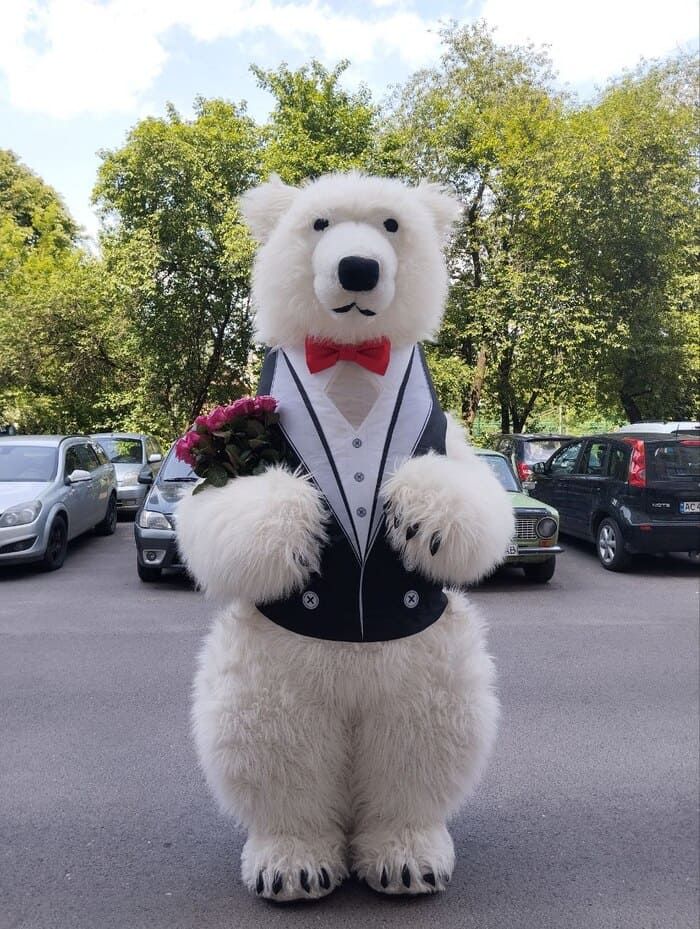 Полярний Білий Ведмідь