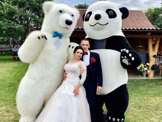 белый медведь на свадьбу