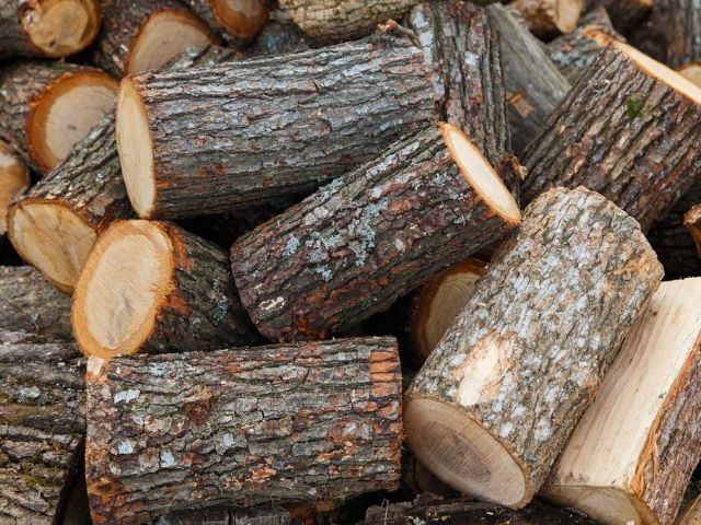 Купити дрова та брикет. Ціна. Доставка.