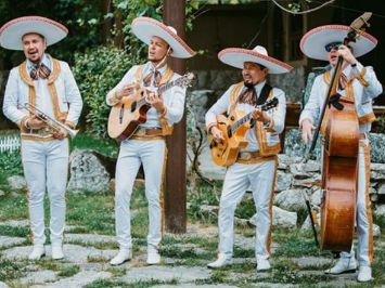 жива музика ціна