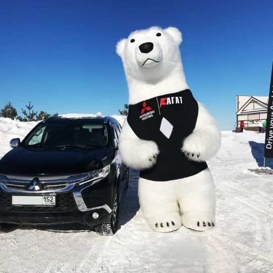 Послуги Білого Ведмедика
