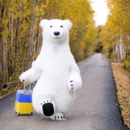 instagram.com/white_bear_show/