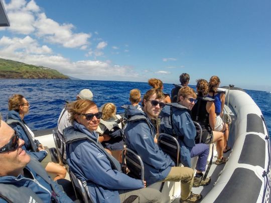 WHALE WATCHING