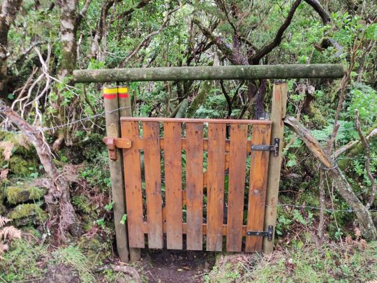 Trilhos oficiais dos açores