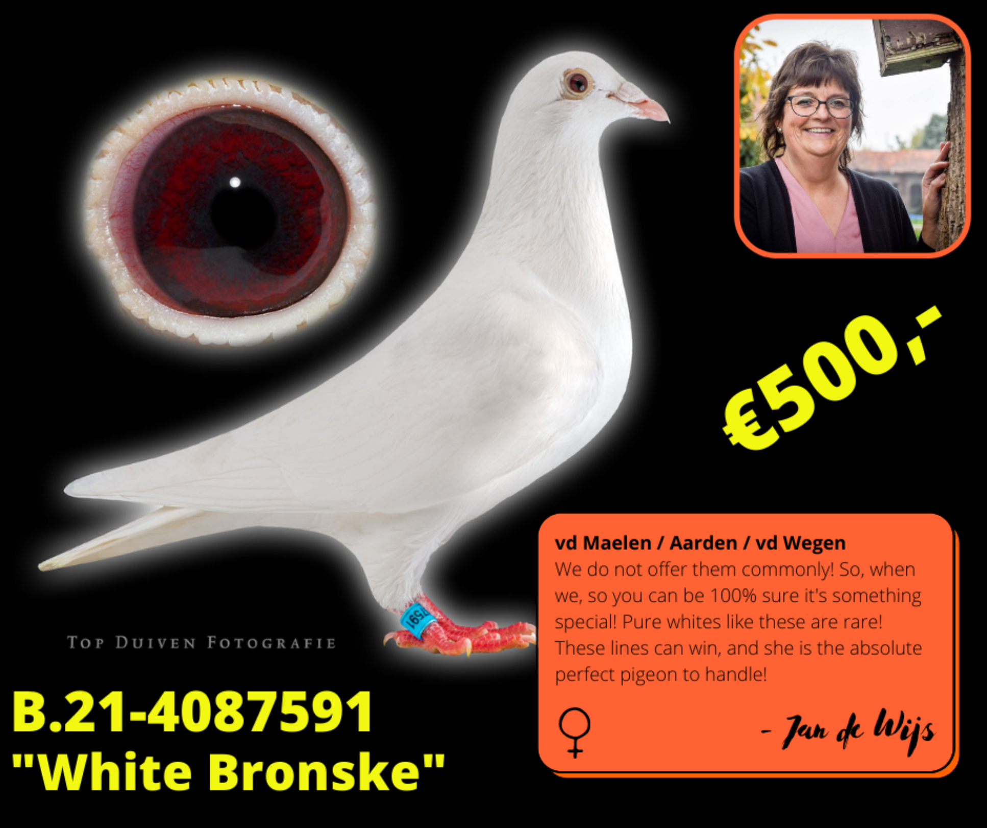 B.21-4087591 "White Bronske"