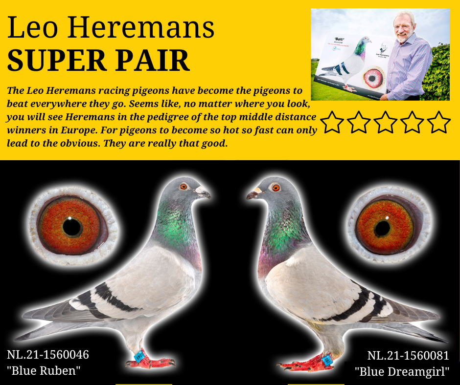 Leo Heremans Pair
