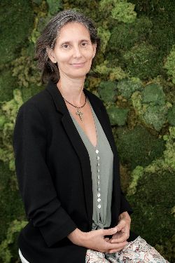 Jefe de Área Fiscal