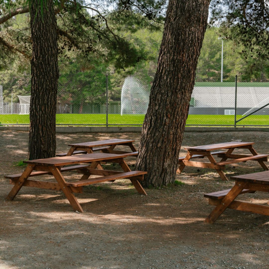 PlatresArena.com picnic area