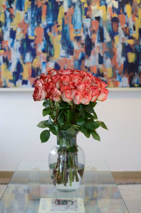 Recibe un hermoso ramo de rosas bicolor de 36 tallos. Los bicolores combinan elegancia y dramatismo en cada pétalo. Perfecto para expresar sentimientos complejos y profundos, estas rosas bicolores añaden un toque artístico y único a cualquier ocasión. Ideal para aquellos que desean algo fuera de lo común y lleno de significado. Sin embargo, si tienes algún color preferido, o la persona a la que se los vas a dar tiene uno, puedes escogerlo sin problema. En Emotions Flowers, nos aseguramos de que tu elección sea siempre perfecta.