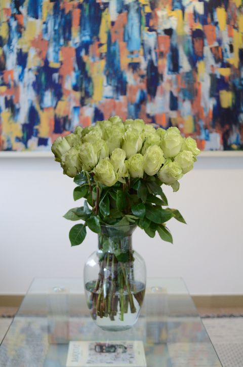 Recibe un hermoso ramo de rosas verdes de 36 tallos. Las rosas verdes simbolizan armonía y prosperidad. Este ramo de rosas verdes es perfecto para transmitir deseos de buena suerte, crecimiento y nuevos comienzos. Su tono inusual y fresco las convierte en una opción excelente para aquellos que buscan algo diferente y especial.
Sin embargo, si tienes algún color preferido, o la persona a la que se los vas a dar tiene uno, puedes escogerlo sin problema. En Emotions Flowers, nos aseguramos de que tu elección sea siempre perfecta.