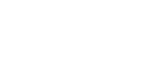 Leon Inox