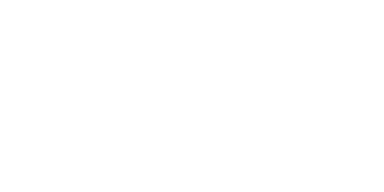 Mega Con