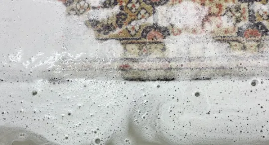 Processo de limpeza de tapetes para remoção de nódoas