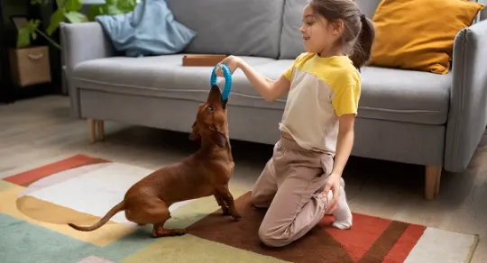 A importância da limpeza profissional de tapetes para a saúde doméstica
