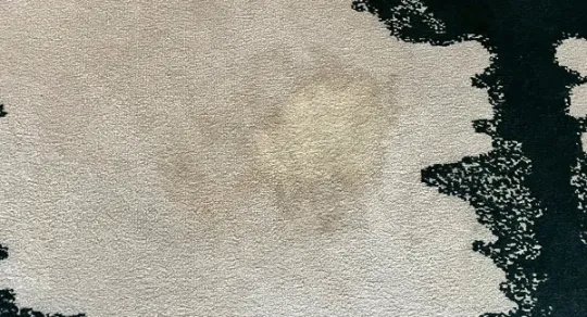 Deixe a Carpet Clean mostrar-lhe como limpar mancha em tapete