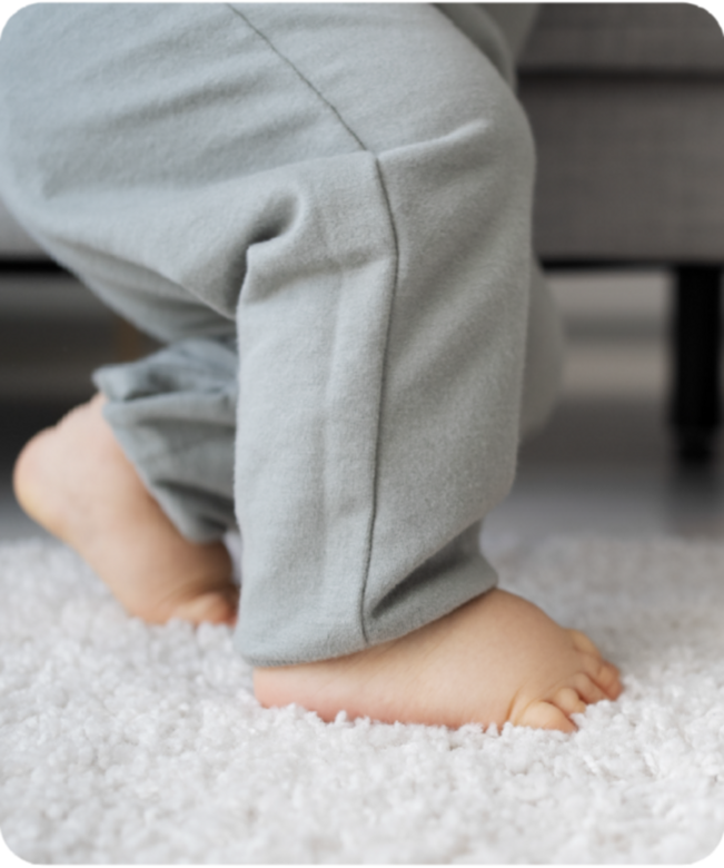 limpeza-de-tapetes-ao-domicilio