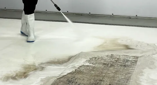 Lavandaria de carpetes: porque confiar a limpeza a profissionais?