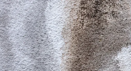 Como limpar carpete muito sujo: técnicas para dar uma nova vida ao seu ambiente