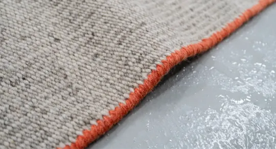 Soluções da Carpet Clean Live para a limpeza de tapetes em áreas de alto tráfego