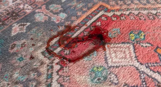 Como tirar nódoas de vinho de tapetes e carpetes: truques da Carpet Clean Live