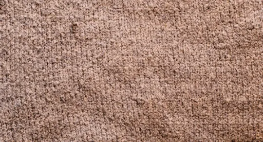 Como limpar carpete encardido: métodos eficazes para devolvê-lo à vida