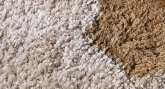 Como limpar carpete manchado: remova nódoas difíceis com essas dicas