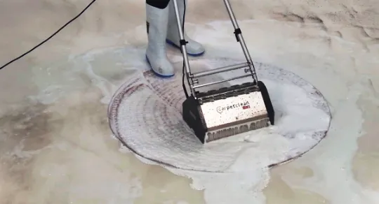 Limpeza de tapetes e carpetes: conheça as melhores técnicas para cada tipo