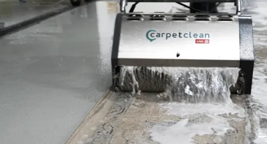 A inovação e modernidade nos processos de limpeza de tapetes da Carpet Clean Live