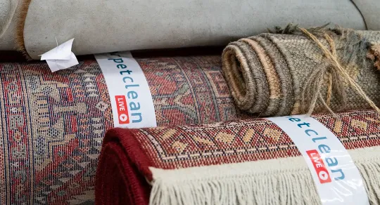 FAQs da Carpet Clean Live: experiência na limpeza de tapetes e carpetes