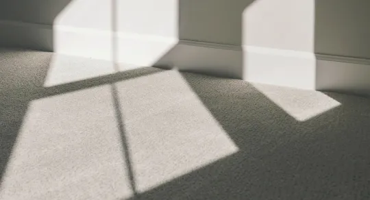 Limpeza de carpetes em apartamento: dicas para manter seu espaço impecável