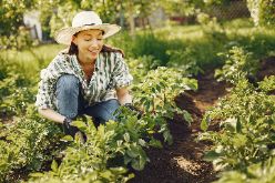 personalni_agentury_agro_jobs_service
